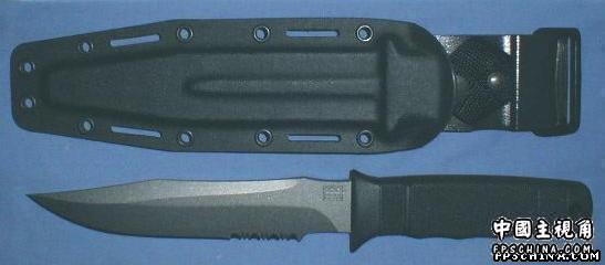 Knife-seal-2000-2.jpg