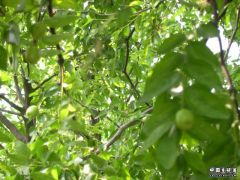 DSCN2029.JPG