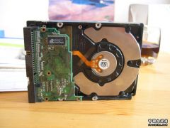 DSCN2419.JPG