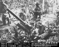 M1935贝蕾塔（Breda）战防炮.jpg