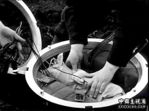 gallery_10551_4_3002.jpg