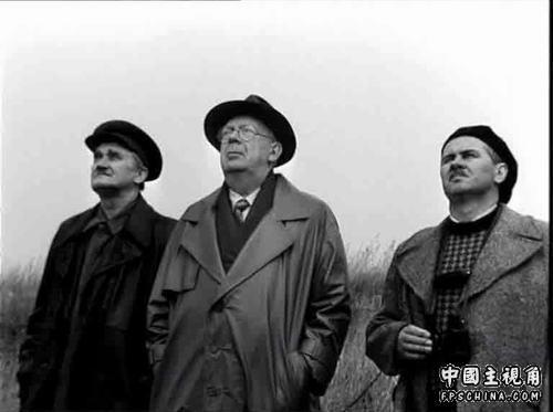 gallery_10551_4_3169.jpg