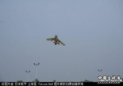 gallery_10551_4_4694.jpg
