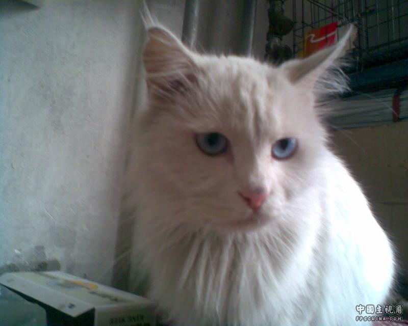 gallery_41600_4_35952.jpg