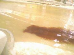 IMG0289A.jpg
