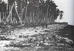 瓜岛一处屠海滩,遍地日军死尸.jpg
