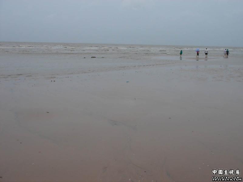 gallery_2073_2_11730.jpg