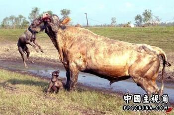 gallery_2085_6_1283.jpg