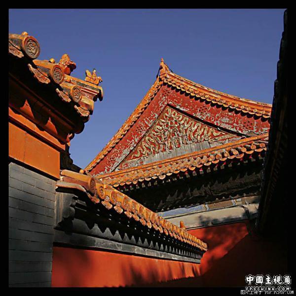 gallery_2073_6_72612.jpg