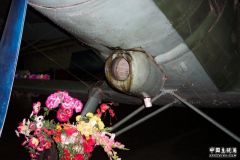 Plane 140.jpg
