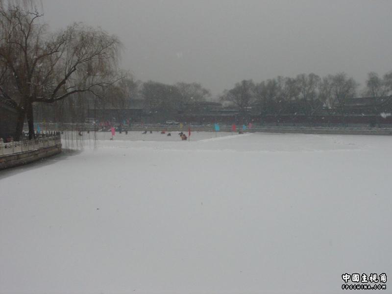 gallery_2073_6_1118.jpg