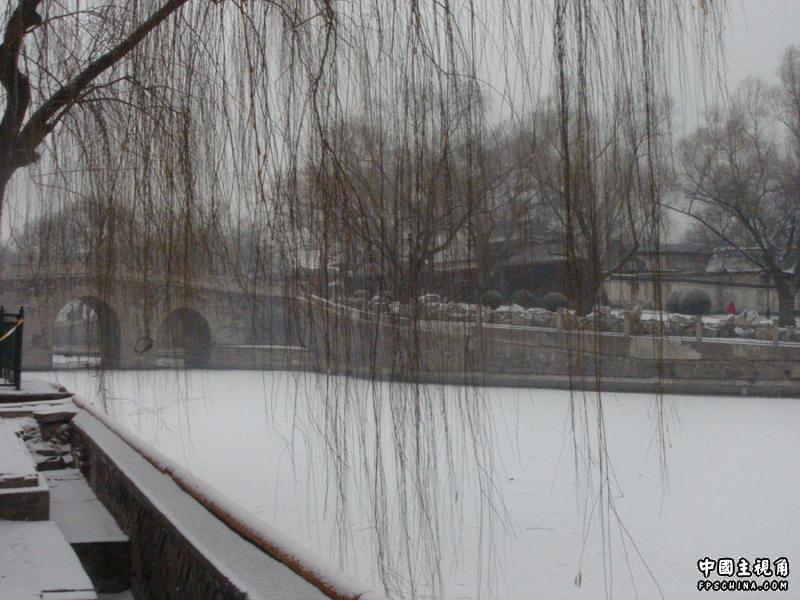 gallery_2073_6_138508.jpg