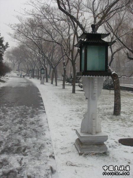gallery_2073_6_41954.jpg