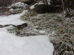 DSC01564.jpg