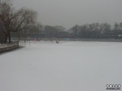 DSC01638.jpg