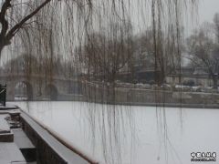 DSC01566.jpg