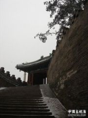 DSC01515.jpg