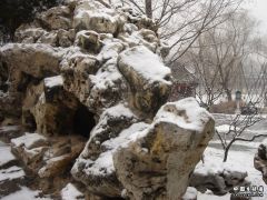 DSC01612.jpg