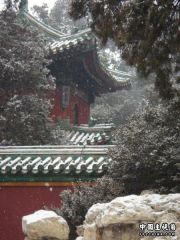 DSC01555.jpg