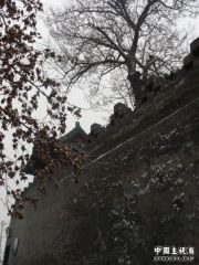 DSC01643.jpg