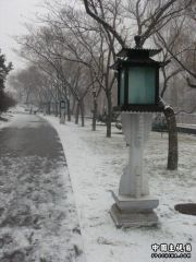DSC01565.jpg