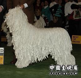 gallery_2073_6_21812.jpg