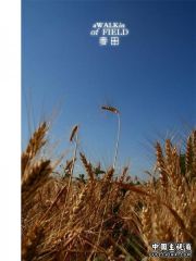 未标题-1.jpg