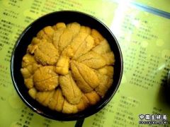 海胆盖饭.jpg