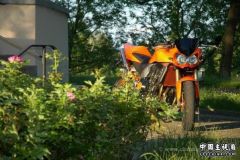 20060623_wesker09_192653.jpg