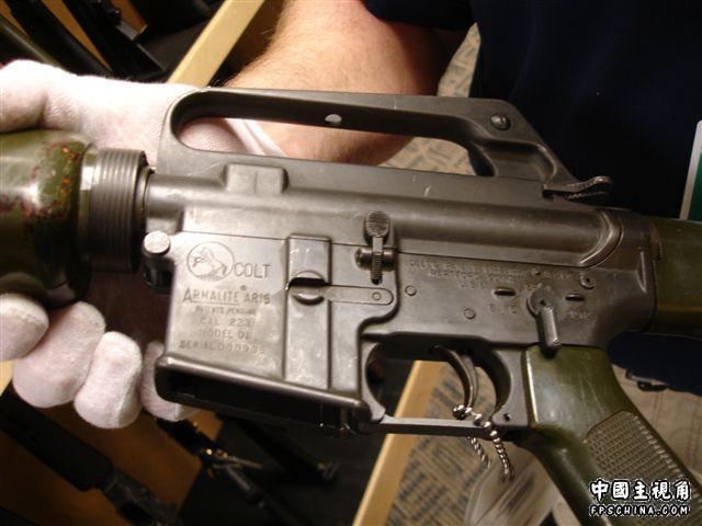gallery_722_6_12167.jpg
