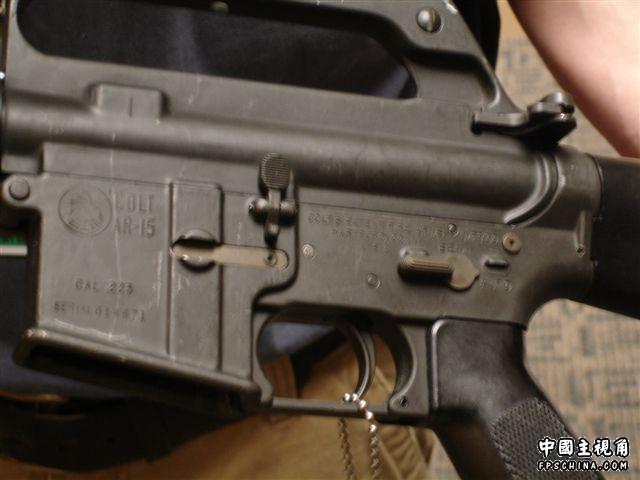 gallery_722_6_7538.jpg