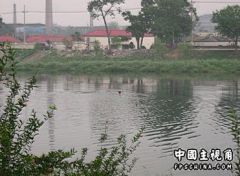09.jpg