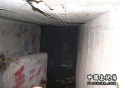 07.jpg