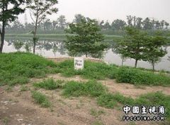 03.jpg