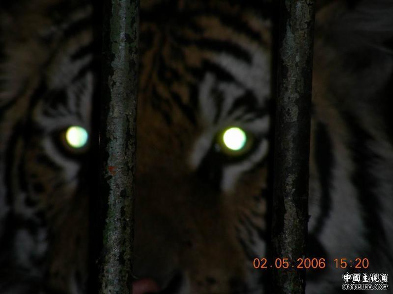 gallery_722_6_55353.jpg