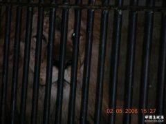 DSCN1125.JPG
