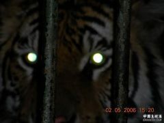 DSCN1113.JPG
