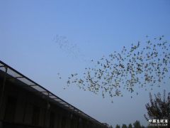 CIMG0120.JPG