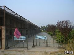 CIMG0082.JPG