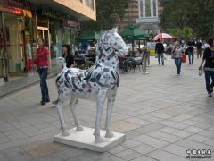 DSCN2186.JPG