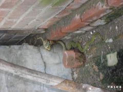 DSCN2044.JPG
