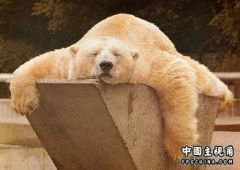 真无聊啊.jpg