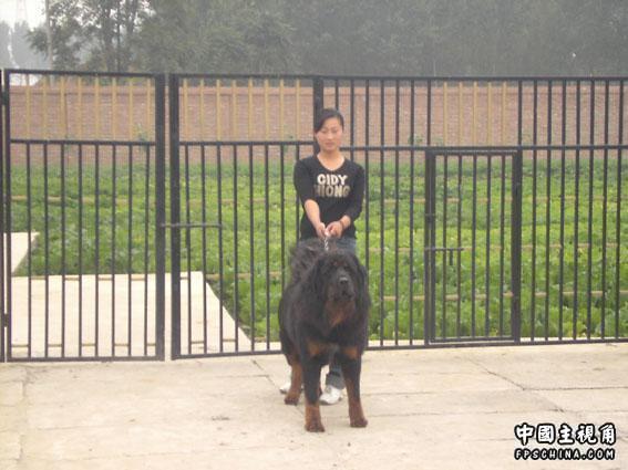 gallery_3224_6_77894.jpg