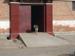 DSCN2570.JPG