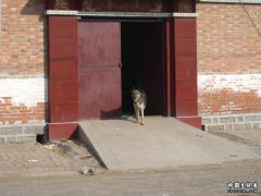 DSCN2571.JPG
