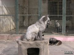 DSCN2619.JPG