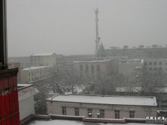 DSCN2649.JPG