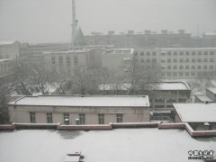 DSCN2647.JPG