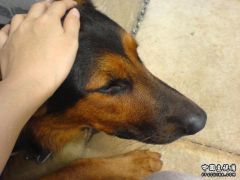 DSC00555.JPG