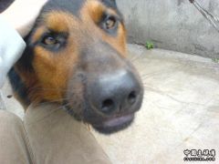DSC00544.JPG